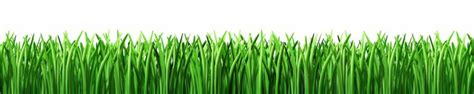 Download High Quality Grass Clipart Lawn Transparent Png Images Art