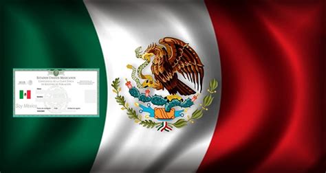 ⊛ Cómo Saber Tu Curp En México【2024