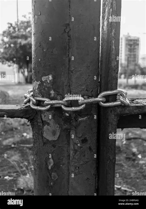 A Grayscale Of A Closed Fence With An Iron Chain Stock Photo Alamy