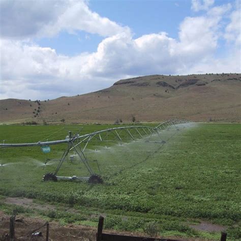 Wheel Line Irrigating Green Field Central Oregon Irrigation District