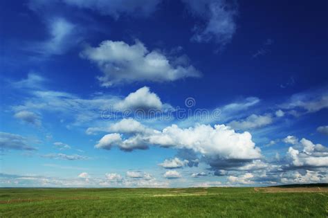 Flowery Field Stock Photo Image Of Land Grow Clouds 9710210