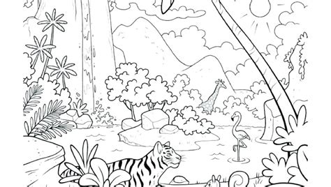 Tropical Rainforest Animals Coloring Pages At Getdrawings