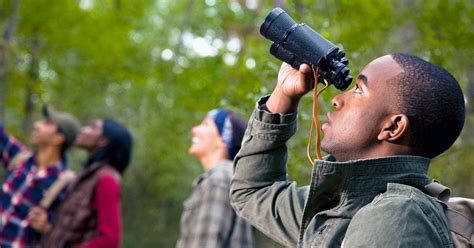 Choosing and Using Birding Binoculars