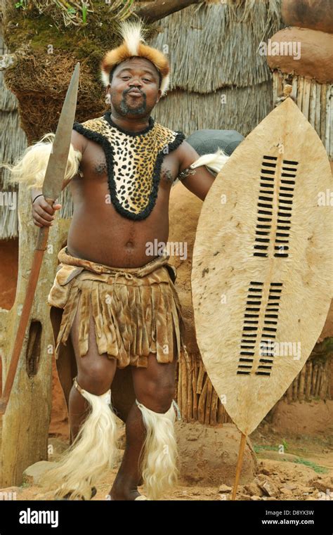 Zulu Warrior Zulu Warrior Tribal Warrior South Africa
