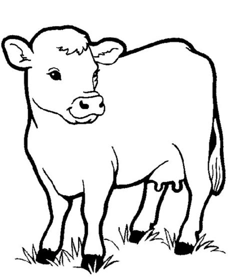 Cartoon Farm Animal Coloring Pages For Kids Disney