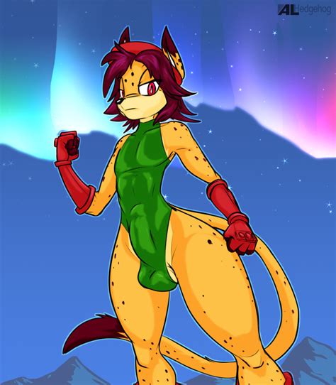 Rule 34 2d Alhedgehog Androgynous Anthro Anthro Only Aurora Borealis Balls Outline Bulge Cammy