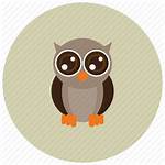 Owl Icon Eyes Night Animals Bird Icons