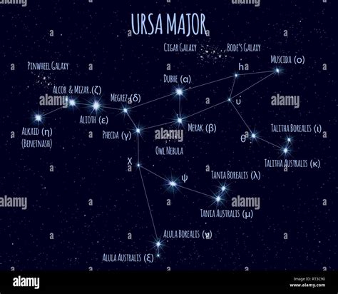 Full Ursa Major Great Bear Big Dipper Constellation Vector