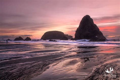 Whaleshead Beach Sunset Cool Places To Visit Oregon Waterfalls Oregon Travel