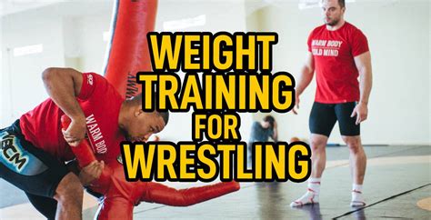 Strength Training For Wrestlers Detailed Program Torokhtiy