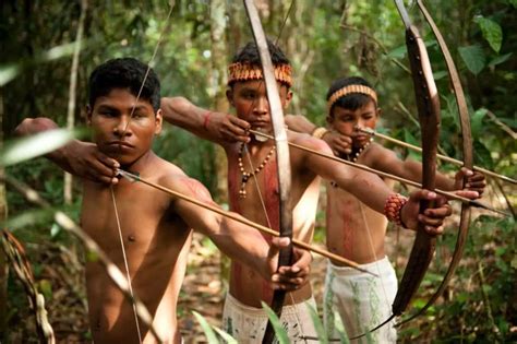 Tribos indígenas As principais brasileiras povos costumes e curiosidades