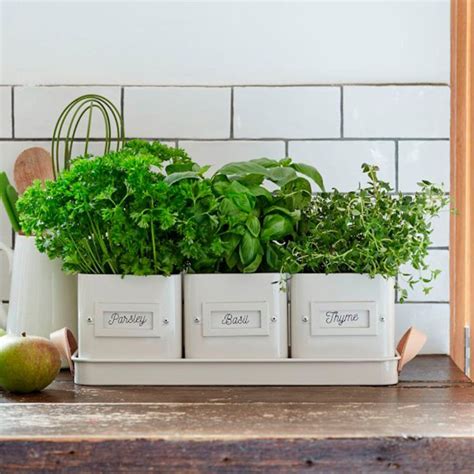 10 Best Herb Garden Planters And Kits Of 2022 Herb Pots Herb Garden
