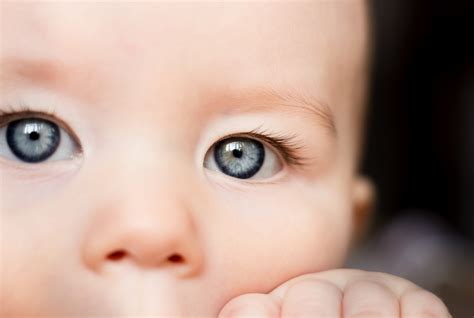 Новорожденный С Голубыми Глазами Фото Telegraph