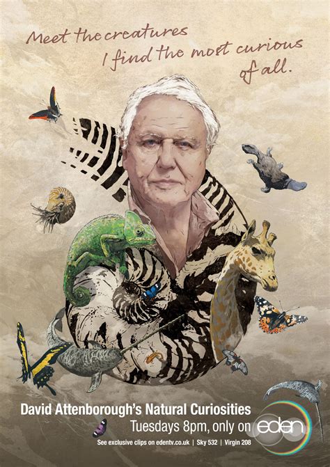 David Attenboroughs Natural Curiosities Poster David Attenborough