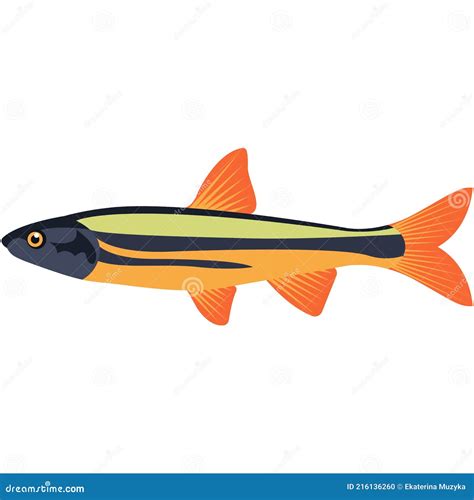 Redfin Cartoons, Illustrations & Vector Stock Images - 29 Pictures to