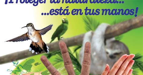 La ProtecciÓn De La Flora Y La Fauna Silvestre En El Valle Del Cauca
