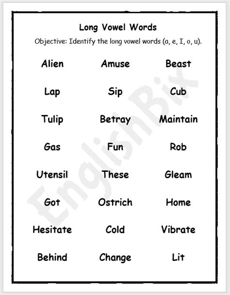 Identify Long Vowel Words From The List Englishbix