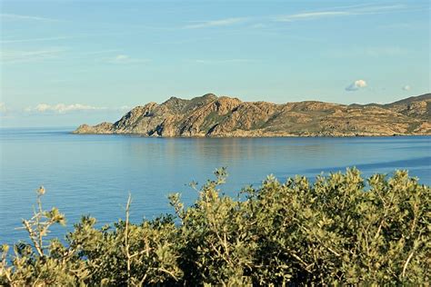 Hd Wallpaper Corsican Mountain Maquis Island Island Of Beauty