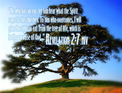Revelation Bible Verses Free Christian Wallpapers | Free Christian