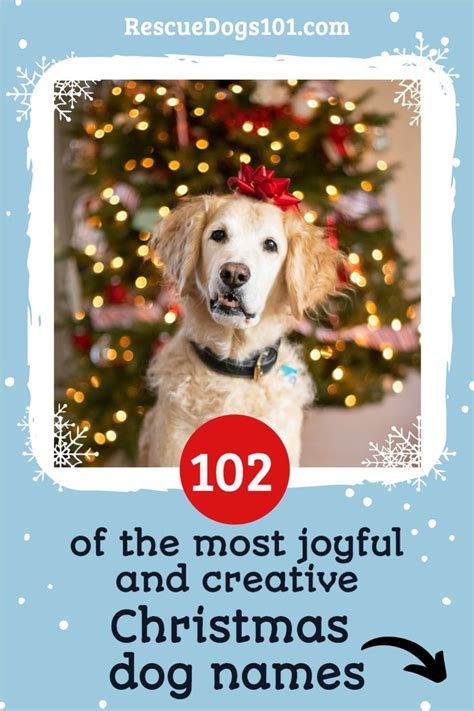 102 Of The Most Joyful And Creative Christmas Dog Names Dog Names