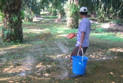 Baja organik dan kimia untuk pokok di rumah anda di malaysia ada pelbagai jenis dan jenama. Anim Agro Technology: APA FUNGSI BAJA TANAMAN?