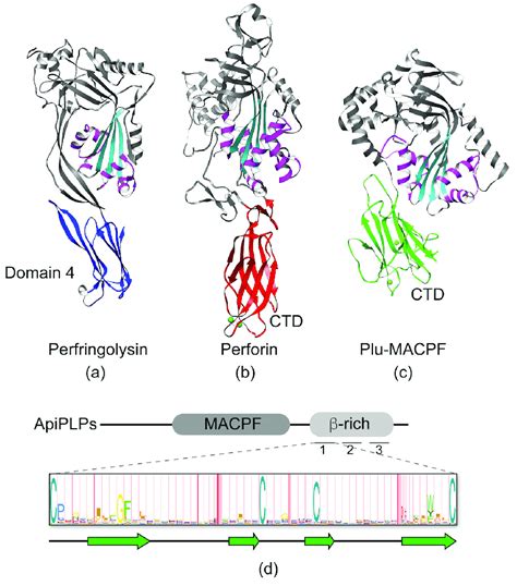 Representative Structures Of The Membrane Attack Complexperforin