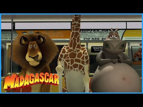 Madagascar Escape From New York Ge English Esl Video Lessons