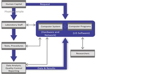 A Narrative Review Of The Laboratory Information System And Its Role In