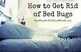 How To Get Rid Of Bed Bugs Marks On Photos
