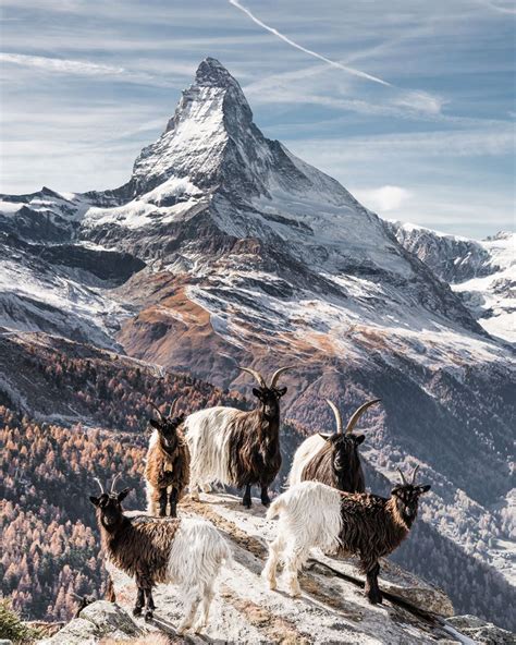 15 Majestic Photographs Of The Swiss Alps Like Youve Never Seen Them