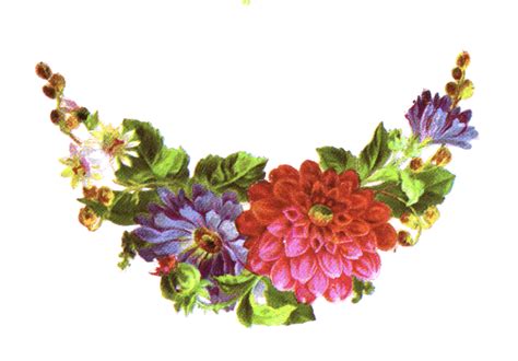 Flower Illustration Public Domain Clip Art Library