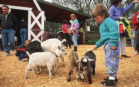 Our petting zoo is different. Petting zoos under threat following health inquiry - Telegraph