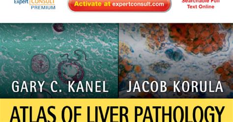 Atlas Of Liver Pathology 3rd Edition Medical Book For Free Download