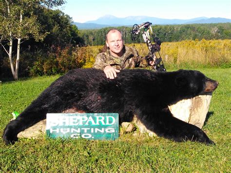 Fall Bear Over Bait Shepard Hunting Company