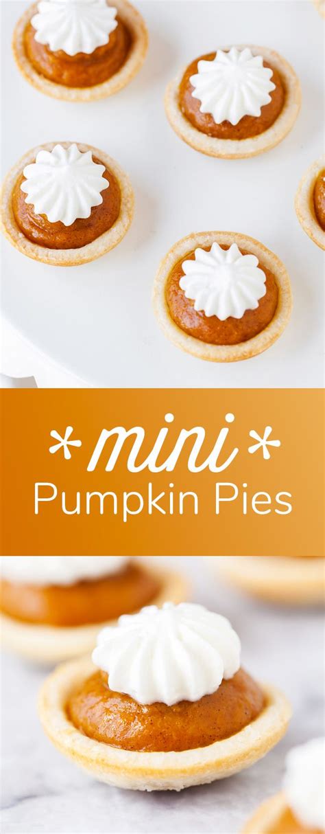 Mini Pumpkin Pies Recipes Easy Mini Pumpkin Pie Recipe Mini