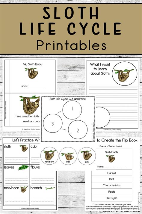 Sloth Life Cycle Printables Simple Living Creative Learning
