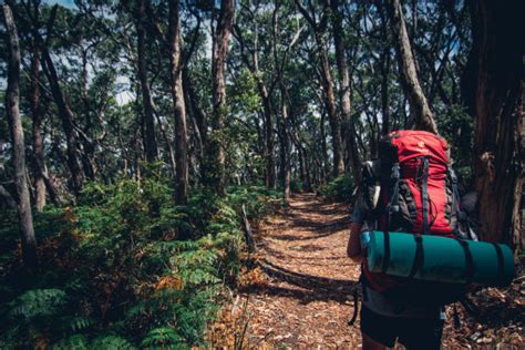 Free Images Outdoor Recreation Backpacking Wilderness Trail
