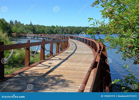 Boardwalk Bridge In Lake Wilcox Park Ontario Royalty Free Stock Photo