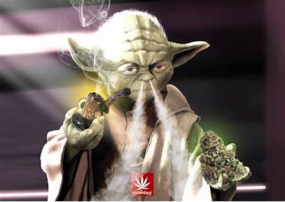 Marijuana Screensavers Weed Stoner 420 Screensaver