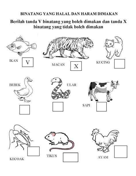 Im Happy Now In Paud Lks Lembar Kerja Siswa Tema Binatang Animal