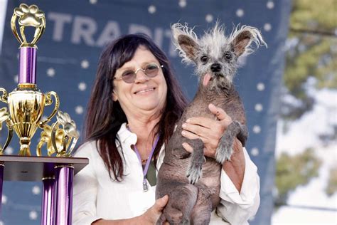 Scooter Wins The 2023 Worlds Ugliest Dog Contest
