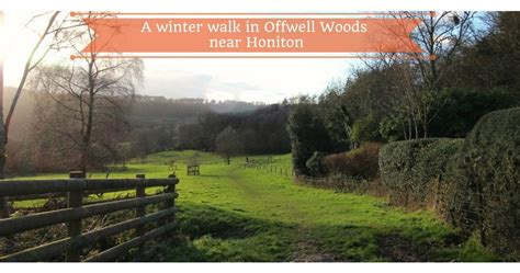 A Woodland Countryside Walk In Offwell Woods Near Honiton In East Devon