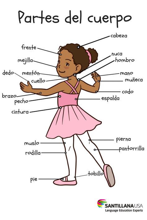 Partes Del Cuerpo Spanish Lessons For Kids Spanish Kids Teaching