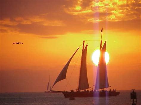 Key West Fl Sunset From One Duval Street Pier Photo