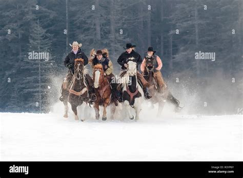 Cowboy Riding Horse Montana Usa Hi Res Stock Photography And Images Alamy