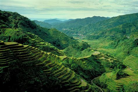 Philippine Landscape Of Rice Fields Photograph By Robb Kendrick Fine