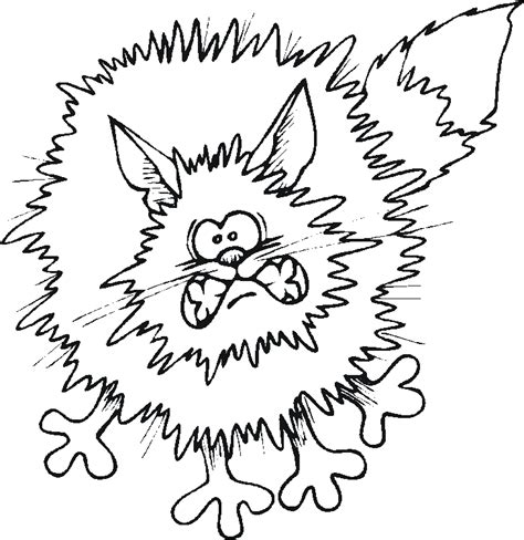 Pictures Of Scary Cats - Cliparts.co