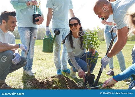 Group Of Volunteers Planting Tree In Park Stock Photo Image Of