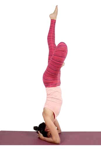 Padma Sirsasana Lotus Headstand Variation Asana International Yoga