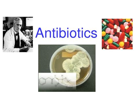Ppt Antibiotics Powerpoint Presentation Free Download Id4641677